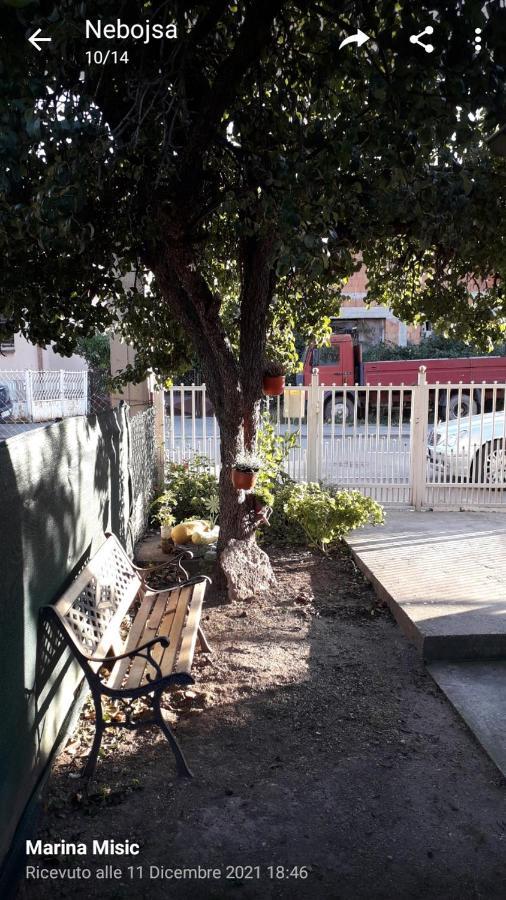 Apartman Milica Požarevac Zewnętrze zdjęcie