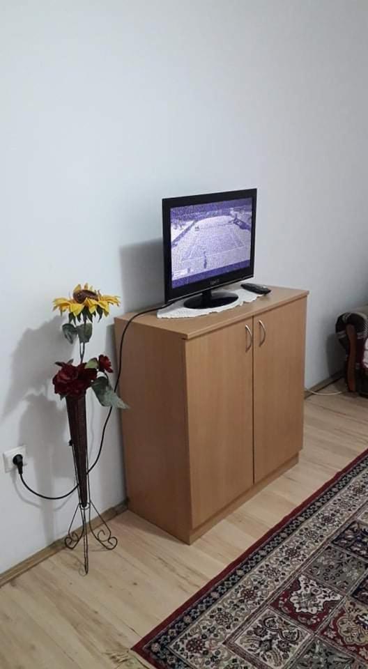 Apartman Milica Požarevac Zewnętrze zdjęcie
