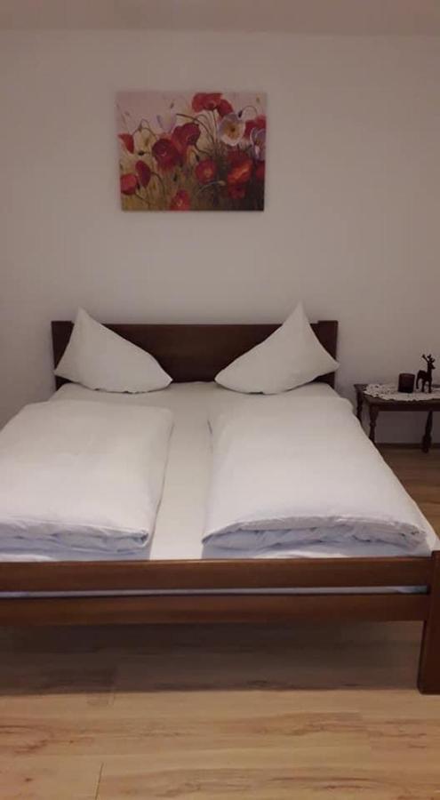 Apartman Milica Požarevac Zewnętrze zdjęcie